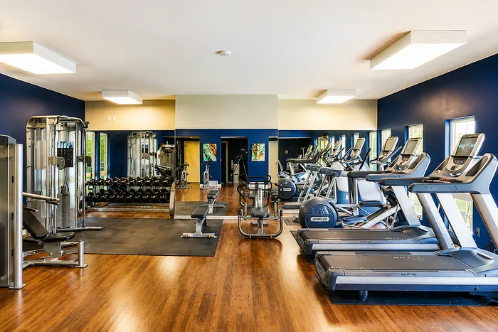 Modern fitness center with state-of-the-art exercise equipment, featuring treadmills, weight machines, and a mirrored wall.
