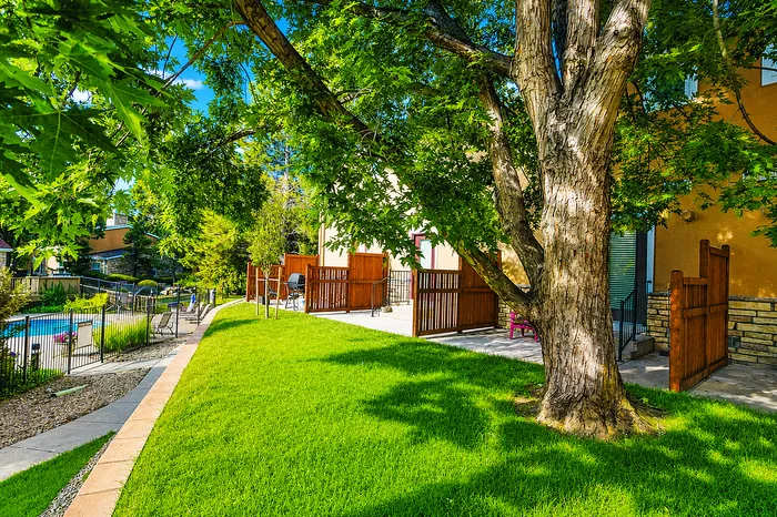 Charming outdoor view featuring lush green lawns and mature trees, offering a serene and inviting atmosphere next to a sparkling pool.