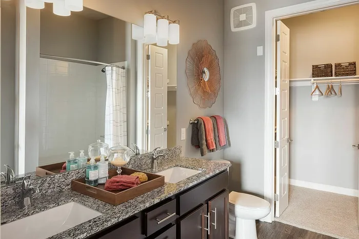 Luxurious bathroom with elegant granite countertop, twin sinks, and modern art decor, leading to a spacious walk-in closet.