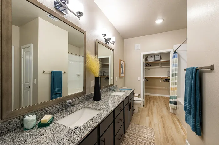 Elegant bathroom with dual sinks and granite countertops, featuring modern lighting and a walk-in closet.