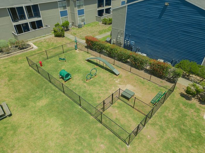 Charming outdoor pet play area with agility equipment, enclosed by a secure fence, set against modern apartment buildings.