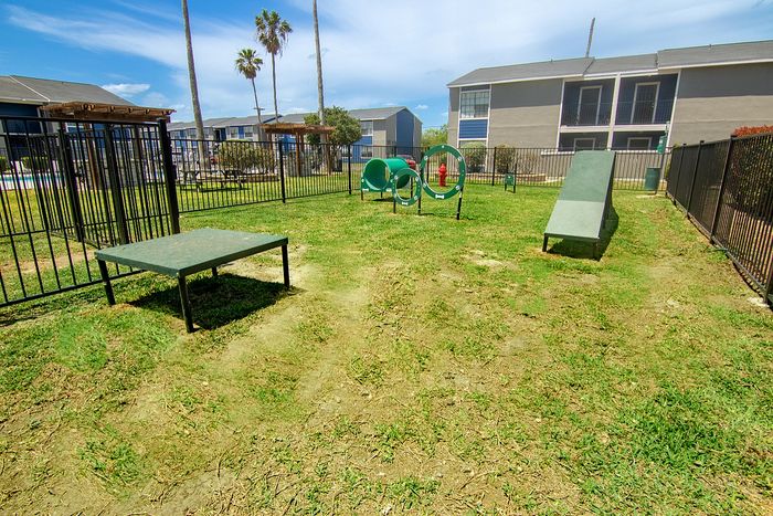 Vibrant outdoor pet play area with agility course, surrounded by lush greenery and modern apartments.
