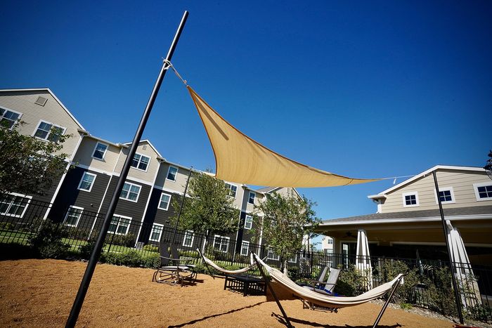 Inviting outdoor area with stylish sunshade and hammocks, featuring modern apartment building backdrop.