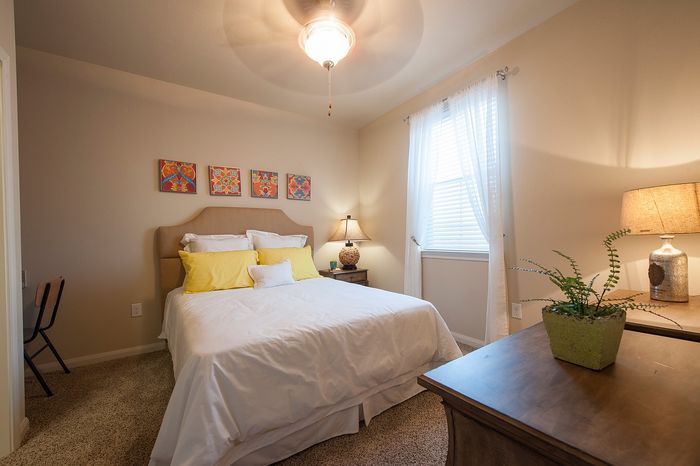 Inviting bedroom with stylish decor, featuring a plush bed with vibrant pillows, elegant lighting, and artistic wall accents for a cozy ambiance.