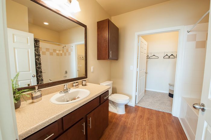 Elegant bathroom featuring rich wooden cabinetry, sleek countertops, and a spacious walk-in closet in a modern apartment.