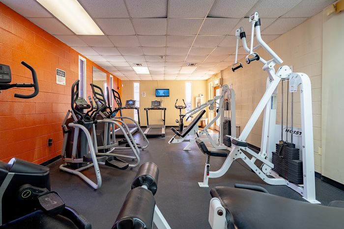 Well-equipped apartment gym featuring treadmills, elliptical machines, and strength training equipment against a vibrant orange accent wall.
