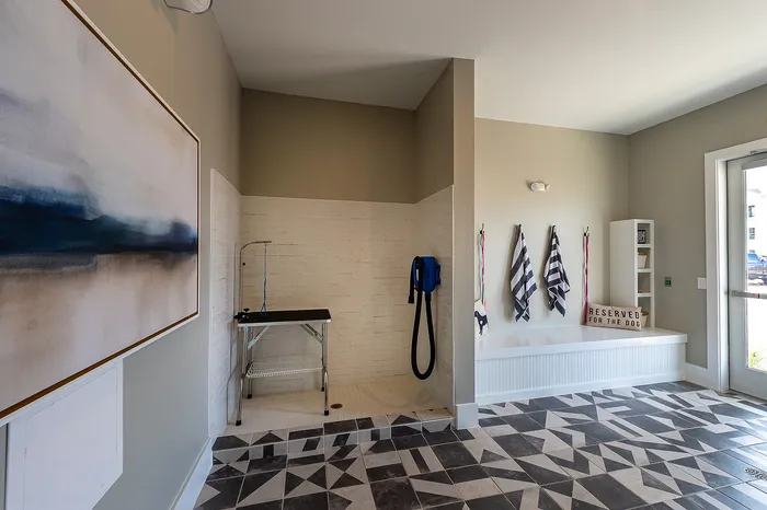 Modern pet washing station with stylish wall art, geometric tile flooring, and reserved dog-friendly area.
