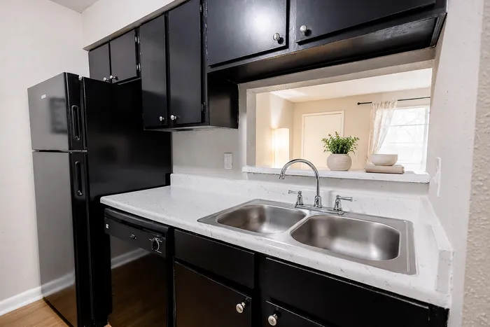 Apartment kitchen with double-basin sink, black cabinetry and pass-through opening to the living area at The Reserve on Garth.