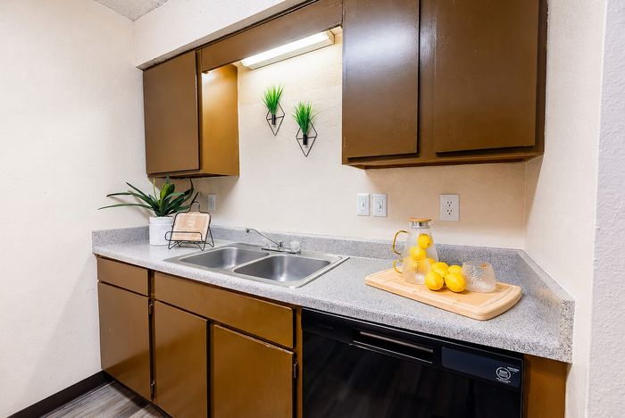 Apartment kitchen at Apple Creek featuring a double sink, countertop workspace, brown cabinetry and black dishwasher.