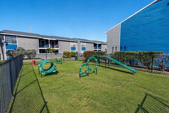 Fenced pet park at Apple Creek apartments in Kingsville with grass and multiple dog agility obstacles.