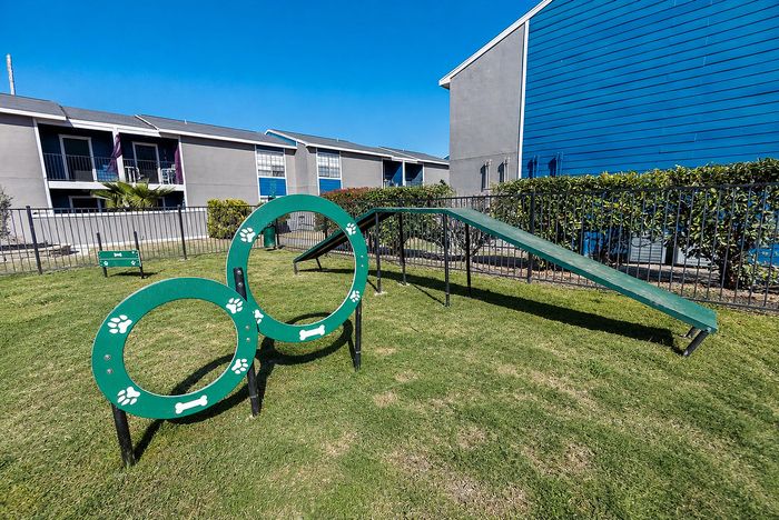 Dog agility equipment and grassy play area inside the fenced pet park at Apple Creek.