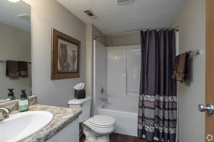 Chic bathroom featuring a granite countertop, elegant framed artwork, and a modern shower with patterned curtain.