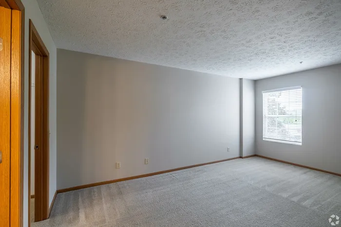 Bright and airy unfurnished bedroom with plush carpet and large window, perfect for personalizing your dream space.
