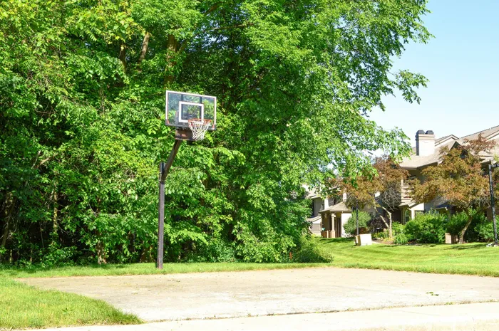 Serene residential area featuring a private basketball court surrounded by lush greenery and charming homes.