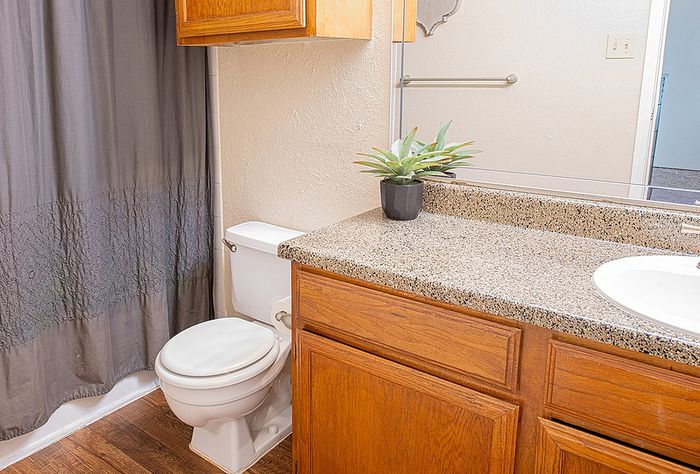 Charming bathroom with warm wood cabinetry, elegant granite countertop, and a fresh plant accent.