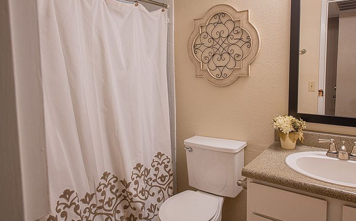 Elegant bathroom with stylish wall decor, pristine shower curtain, and a granite countertop sink.