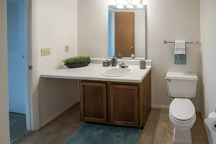 Inviting bathroom with modern vanity, bright lighting, and pristine fixtures for a fresh look.