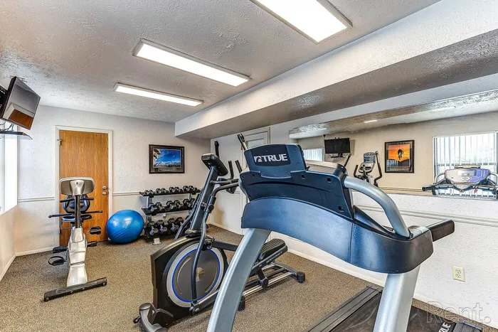 Bright and modern fitness room featuring a treadmill, elliptical, exercise bike, and a full set of dumbbells, perfect for a convenient home workout.