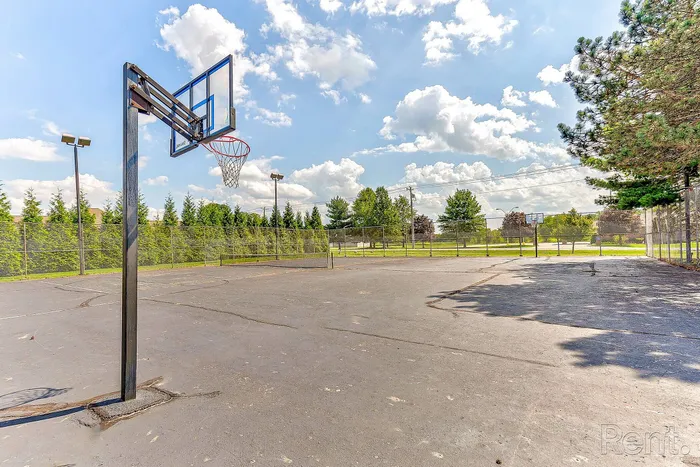 Sunny outdoor basketball court surrounded by lush greenery, perfect for active living and community fun.