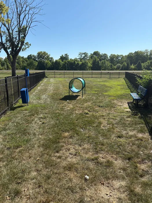 Bright, fenced dog park with a playful tunnel, open green space, and a scenic backdrop of lush trees.