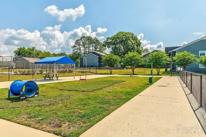 Charming outdoor dog park with agility equipment under a vibrant blue canopy, surrounded by lush greenery and a peaceful fenced area.
