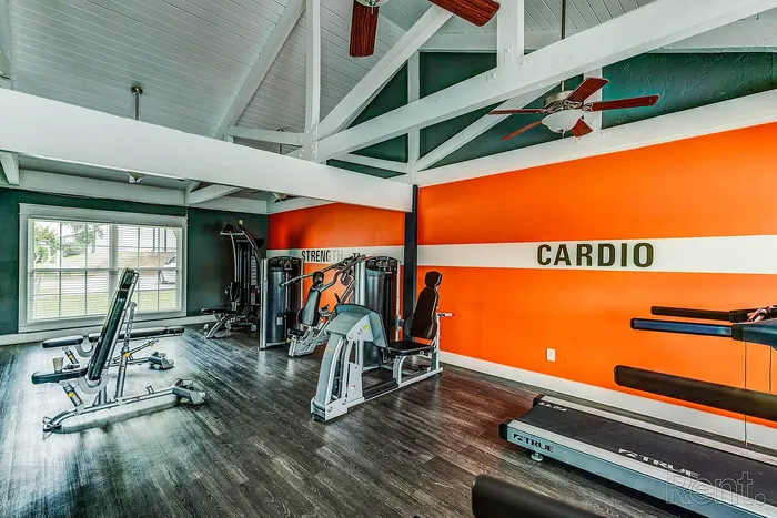 Vibrant fitness center featuring modern cardio and strength training equipment, set against an energizing orange accent wall.