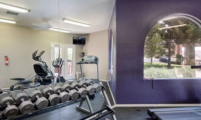 Modern fitness room featuring a full set of dumbbells, cardio machines, and a large window with scenic views.