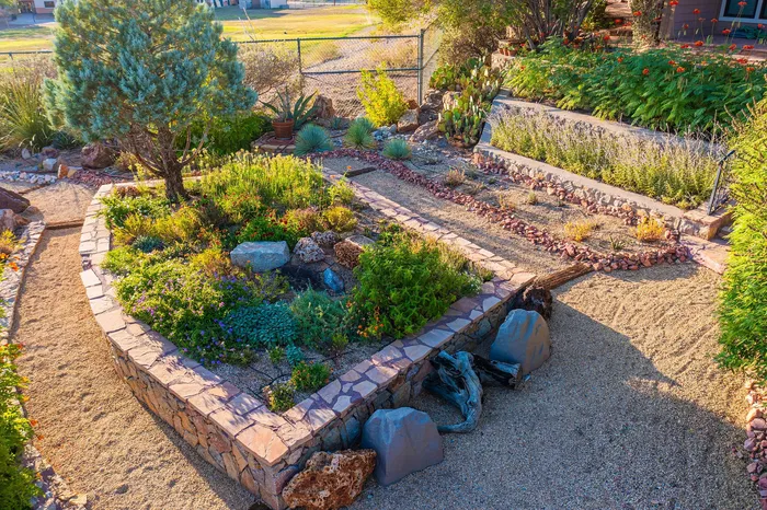 Enchanting garden sanctuary featuring diverse greenery and desert-inspired landscaping with natural stones and vibrant plants.