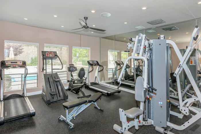 Modern fitness center with treadmills, weight machines, and bright natural lighting.