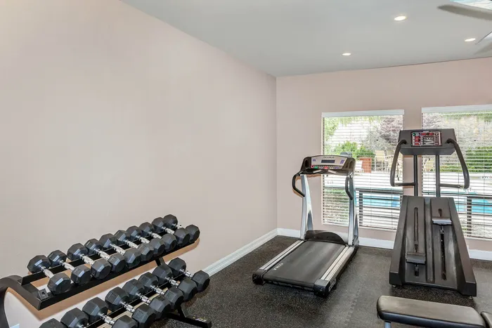 Elegant in-home gym area featuring modern treadmill, strength training equipment, and scenic outdoor view.