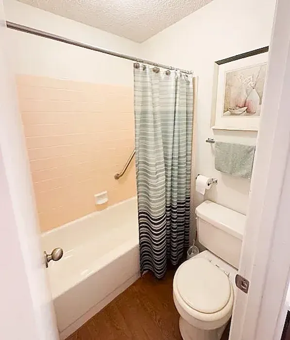 bathroom with blue shower curtain