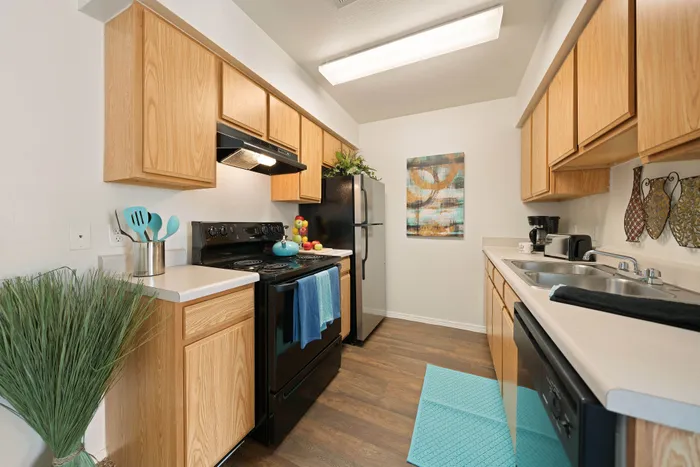 Charming kitchen with modern black appliances, light wooden cabinetry, and stylish decor accents, creating a warm and inviting space.