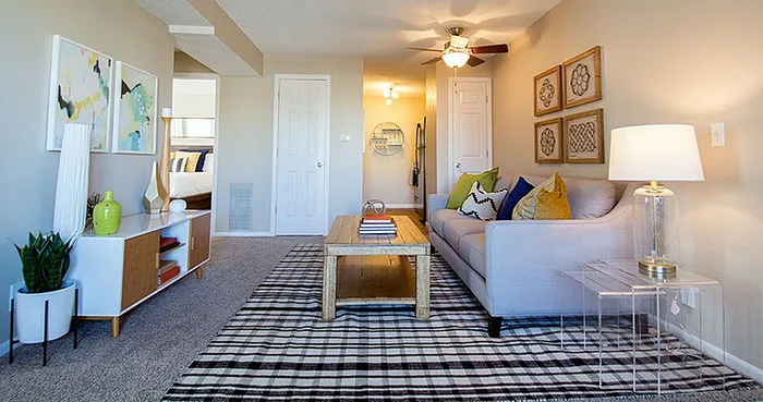 Bright living room featuring a cozy grey sofa, chic patterned rug, modern decor, and stylish wall art creating an inviting ambiance.