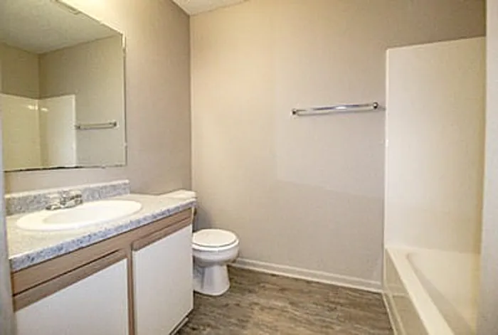 Bright and modern bathroom featuring a sleek countertop, large mirror, and pristine bathtub.