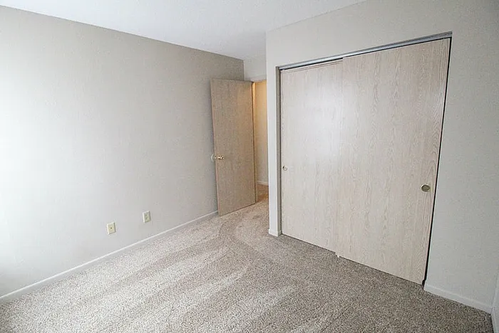 Spacious and bright room featuring plush carpeting and a large closet, perfect for storage.