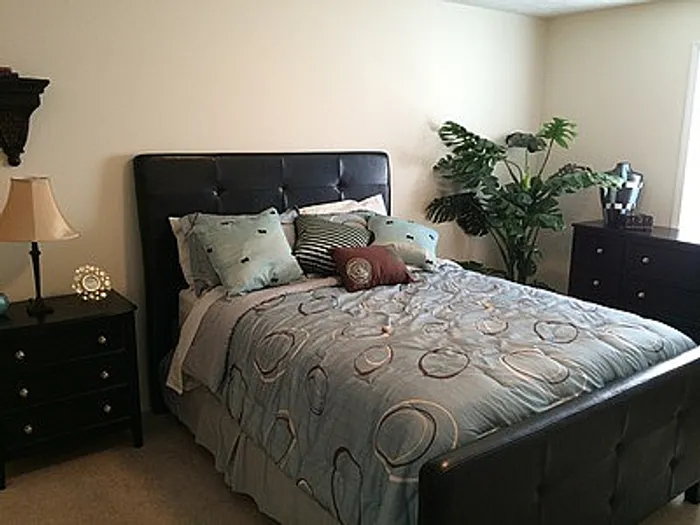 Inviting bedroom with elegant black headboard, stylish decor, and lush indoor plant for a tranquil vibe.