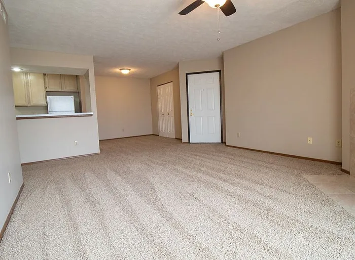 Spacious living room with plush carpet and modern ceiling fan, connected to a cozy kitchen with light wood cabinetry.