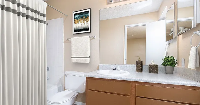 Inviting bathroom with elegant fixtures, a cozy shower-tub combo, and charming decor accents.