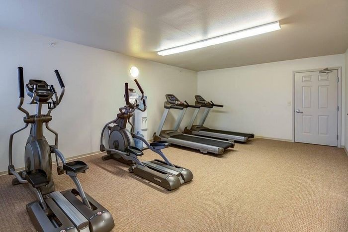 Modern fitness room with two ellipticals, three treadmills, and fresh lighting, ideal for an invigorating workout experience.