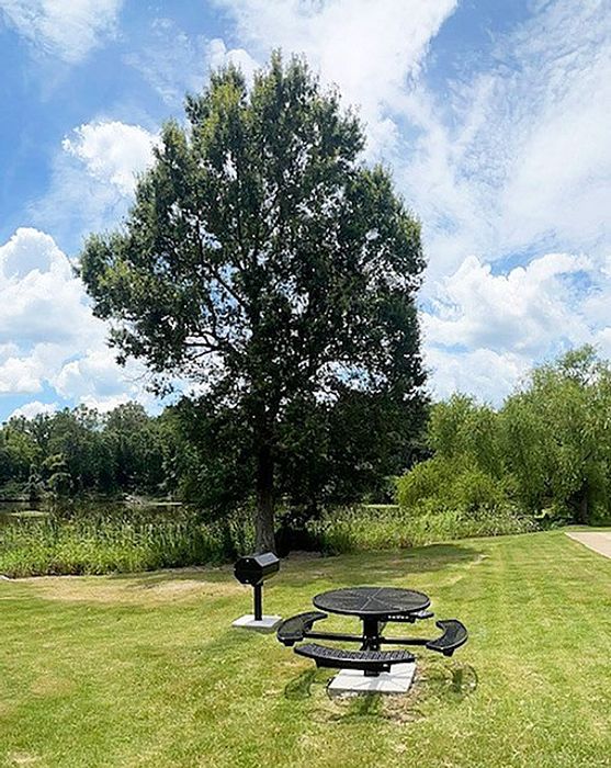 Serene outdoor space with a picnic table and grill set under a lush tree by the riverside, perfect for relaxing and enjoying nature.