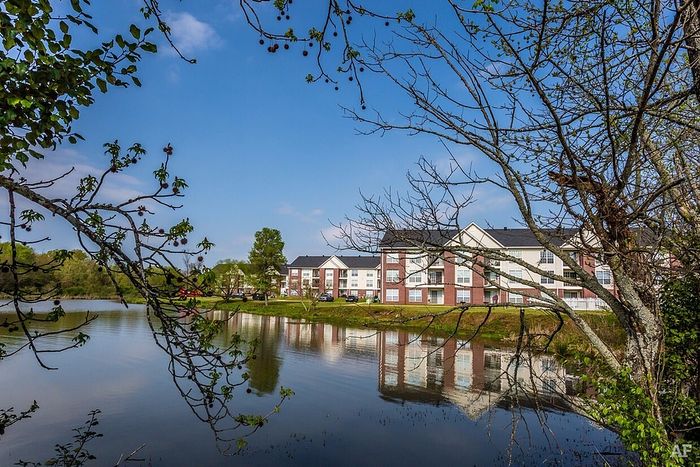 Charming apartment complex nestled by a serene lakeside, offering spacious living with scenic views and natural surroundings.