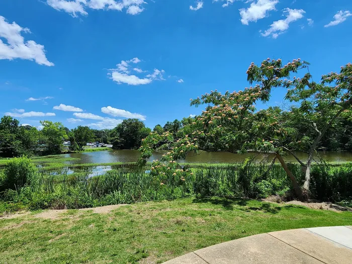 Scenic view of a lush green landscape by a tranquil lake under a vibrant blue sky with soft clouds.