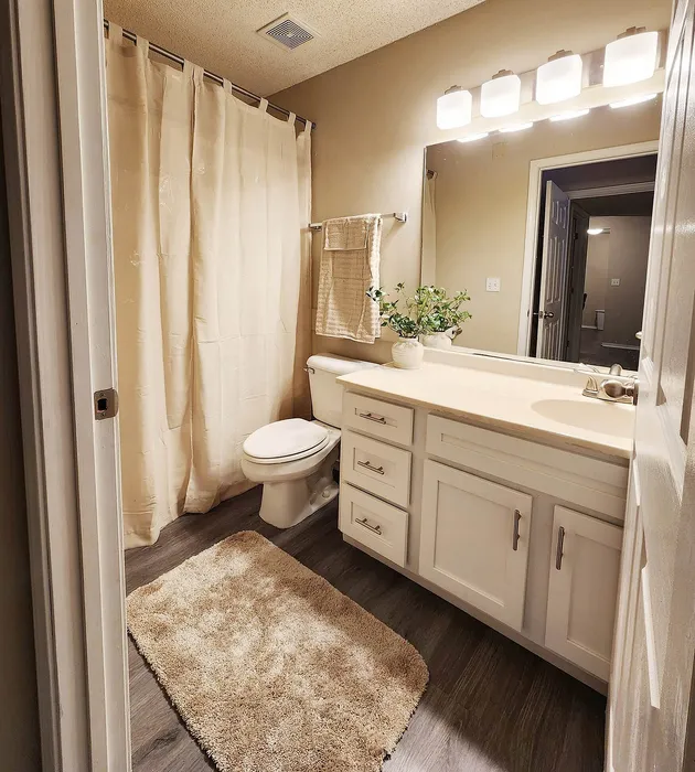 Elegant bathroom featuring a sleek vanity, modern lighting, and plush carpet for a cozy touch.