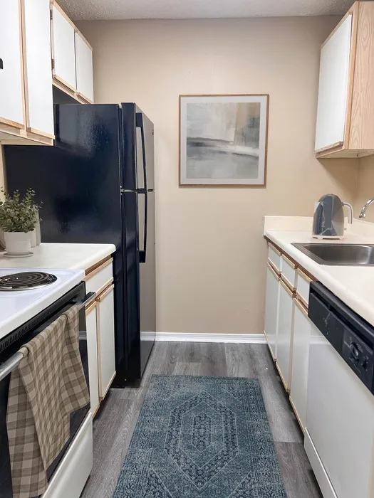 Charming modern kitchen with black appliances, elegant cabinetry, and a cozy rug, exuding warmth and style.