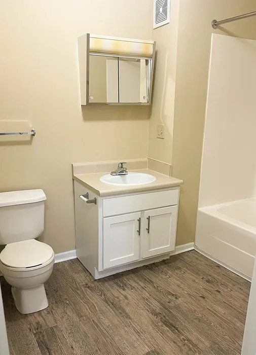 Bright and modern bathroom featuring elegant wood flooring, a sleek vanity with storage, and a pristine bathtub for ultimate relaxation.