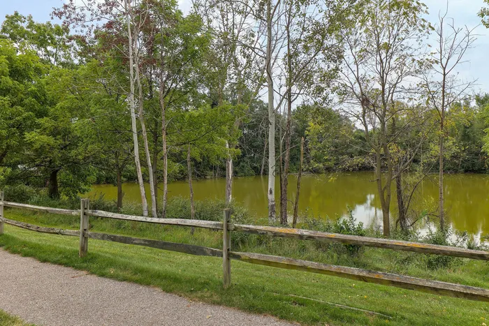Serene path alongside a picturesque lake, surrounded by lush greenery and trees.