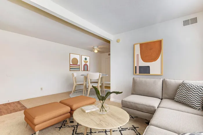 apartment living area, bright and clean