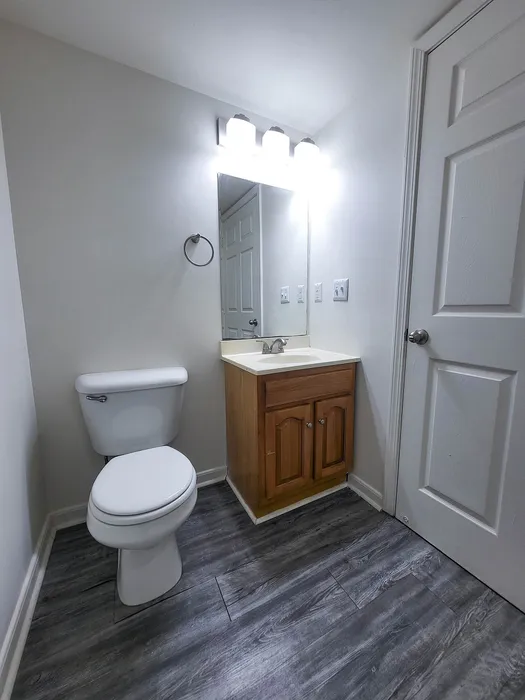 Modern bathroom featuring elegant grey flooring, a sleek white toilet, and a stylish wooden vanity with bright overhead lighting.