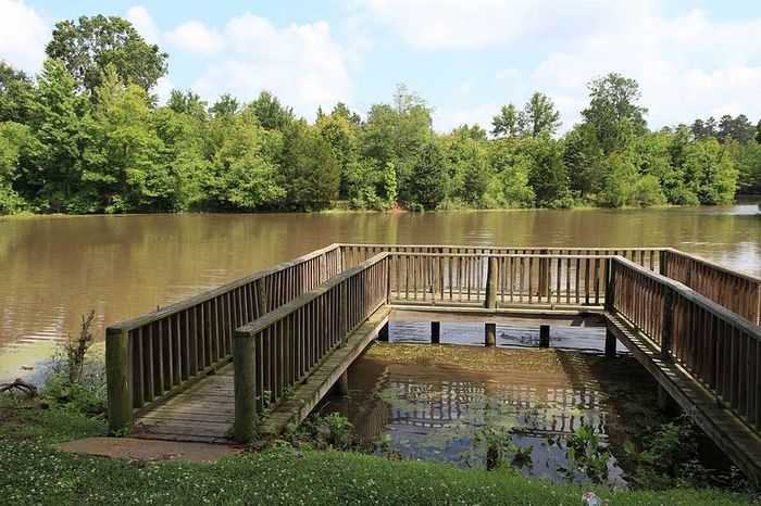 Serene lakeside view with a charming wooden dock surrounded by lush greenery, perfect for nature enthusiasts.