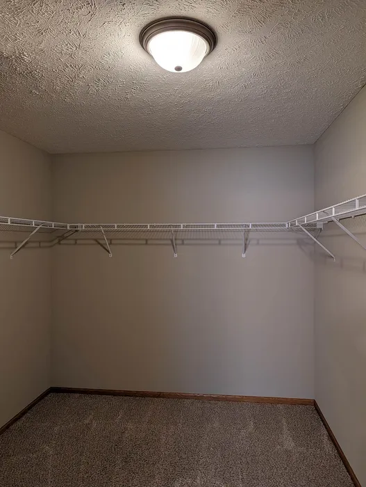 Spacious walk-in closet with ample shelving and elegant lighting, perfect for stylish storage solutions.